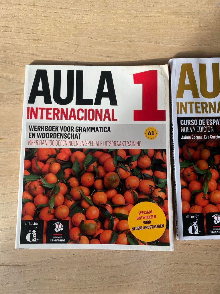 Aula Internacional 1 Spaans leerboek + werkboek A1, Boeken, Ophalen, Gelezen