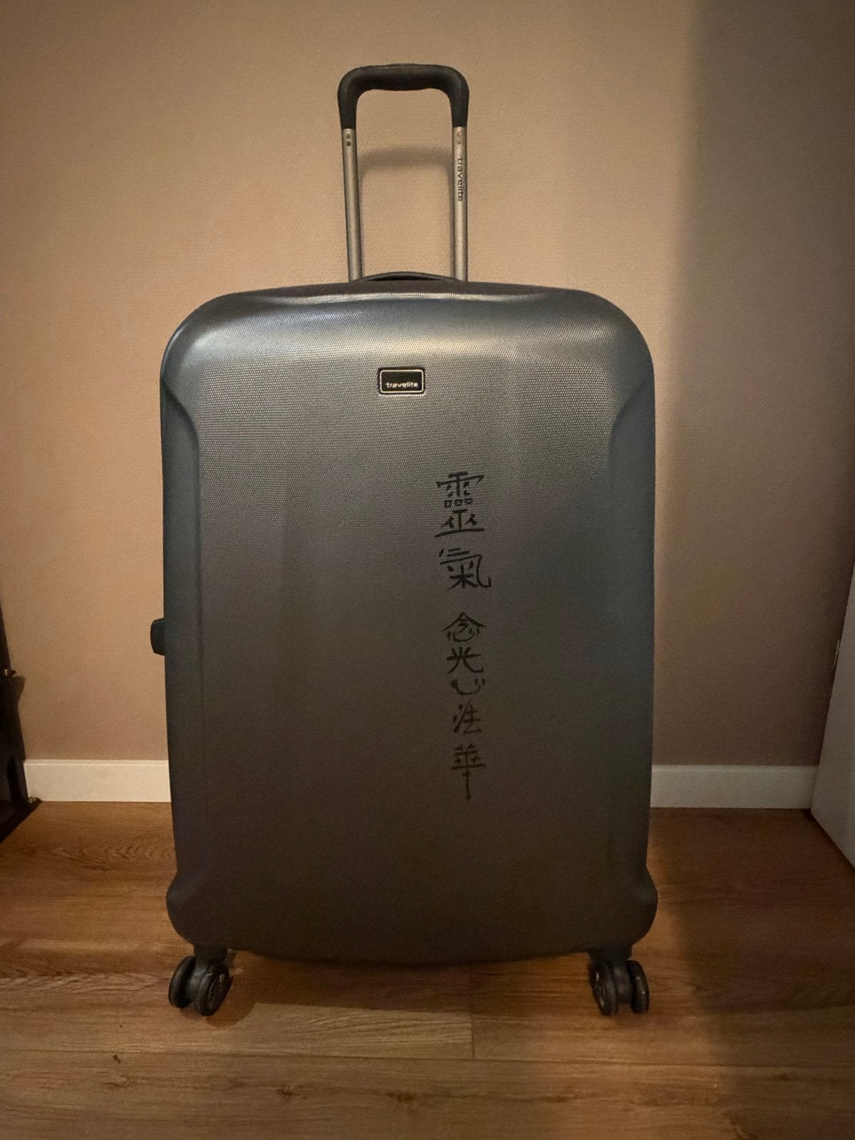 Travelite Koffer - Ruime en Stevige Reiskoffer, Ophalen, 40 tot 60 cm, Gebruikt, 20 tot 30 cm