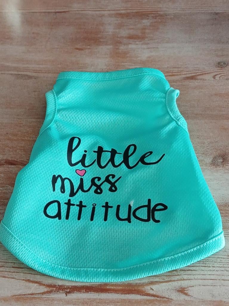 Leuk honden shirtje, mintgroen. Maat S., Ophalen