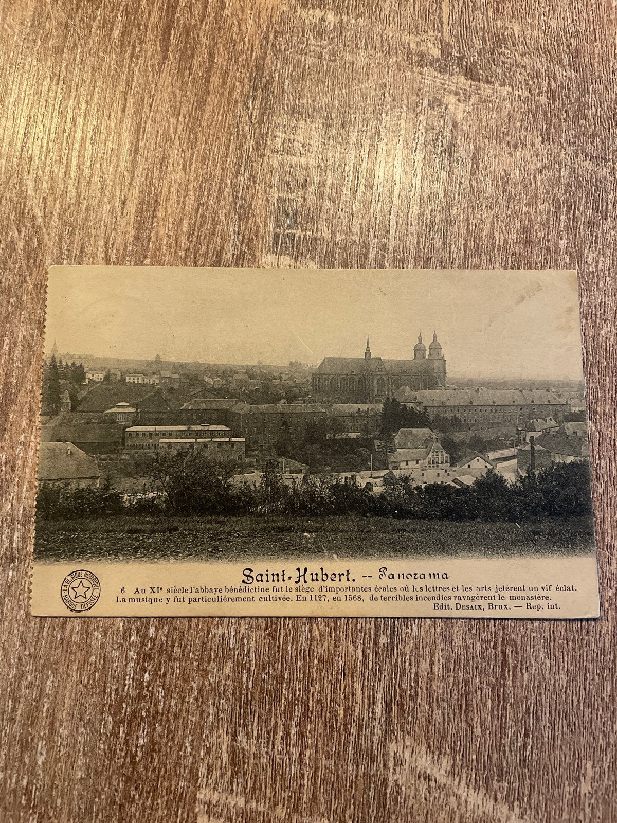 Oude ansichtkaart Saint-Hubert, België - Panorama, Ophalen of Verzenden, Gelopen, België en Luxemburg