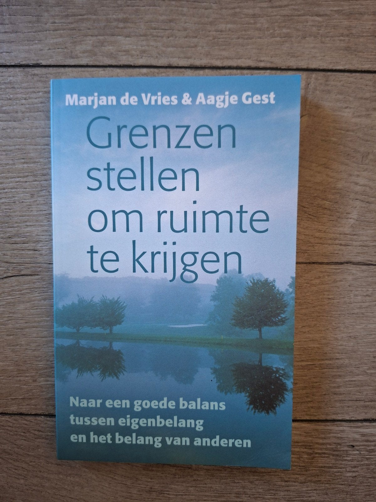 Grenzen stellen om ruimte te krijgen., Ophalen of Verzenden, Gelezen, Overige onderwerpen, Marjan de Vries & Aagje Gest
