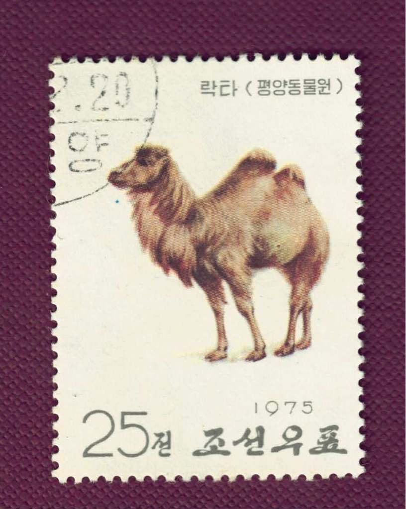 Fauna - Dieren - Kameel - Korea (??) - jr.'75 - gebr, Ophalen of Verzenden, Gestempeld, Dier of Natuur