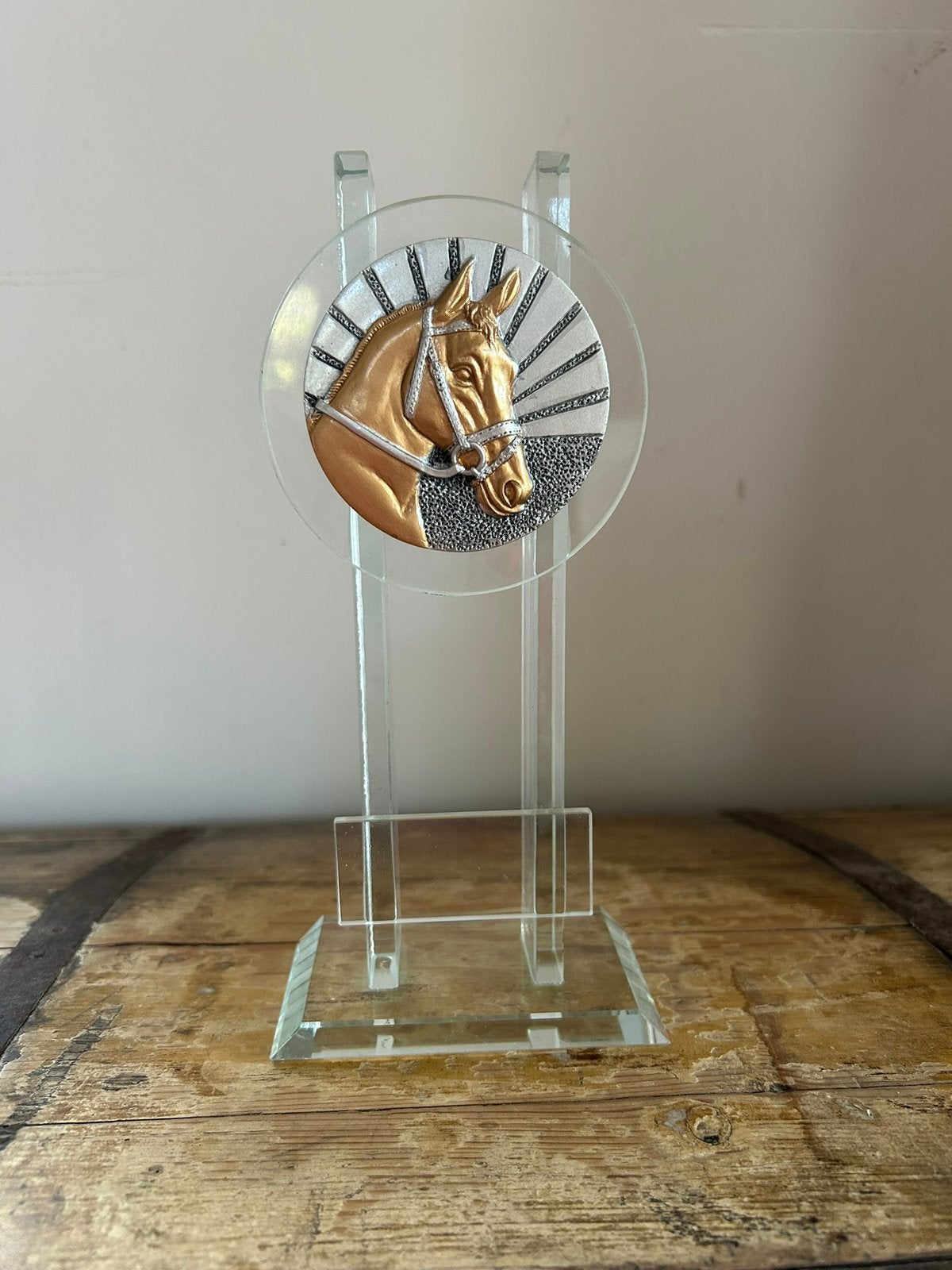 1x glazen trofee paardensport, Dieren en Toebehoren, Ophalen of Verzenden, Nieuw