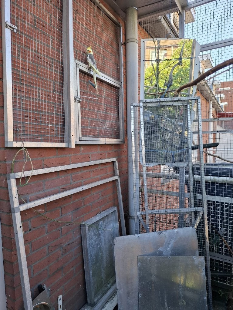 vogels kooi Volière Zie omschrijving, Ophalen, Gebruikt, Aluminium, Volière