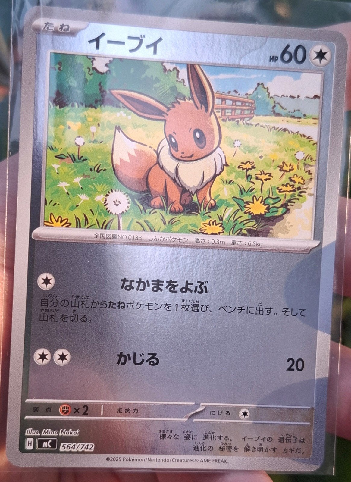 Eevee Japanse Reverse holo pokemonkaart! Zeldzaam!, Ophalen of Verzenden, Zo goed als nieuw