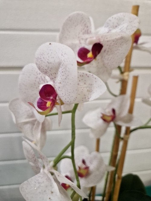 kunstorchidee in pot, Ophalen of Verzenden, 'T Olde Gre-j, Info@toldegrej.nl, Endepoelstraat 20f Didam