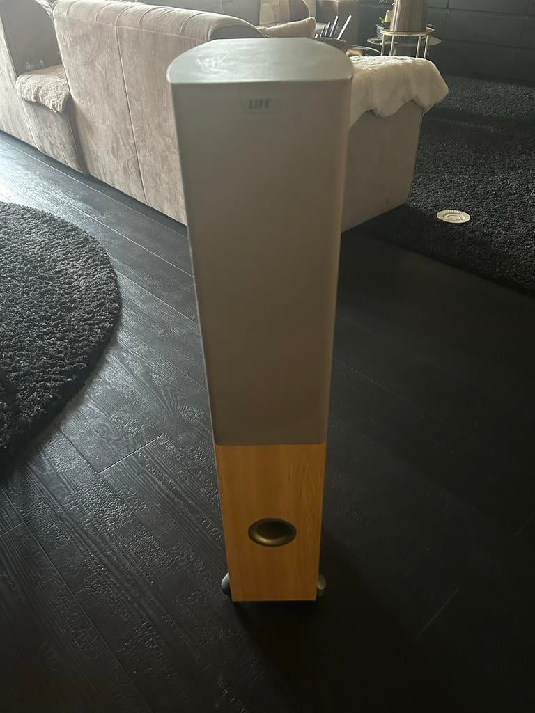 Life L 40701 Zuilspeakers - 120 Watt, Audio, Tv en Foto, Luidsprekers, Gebruikt, 120 watt of meer, Front, Rear of Stereo speakers
