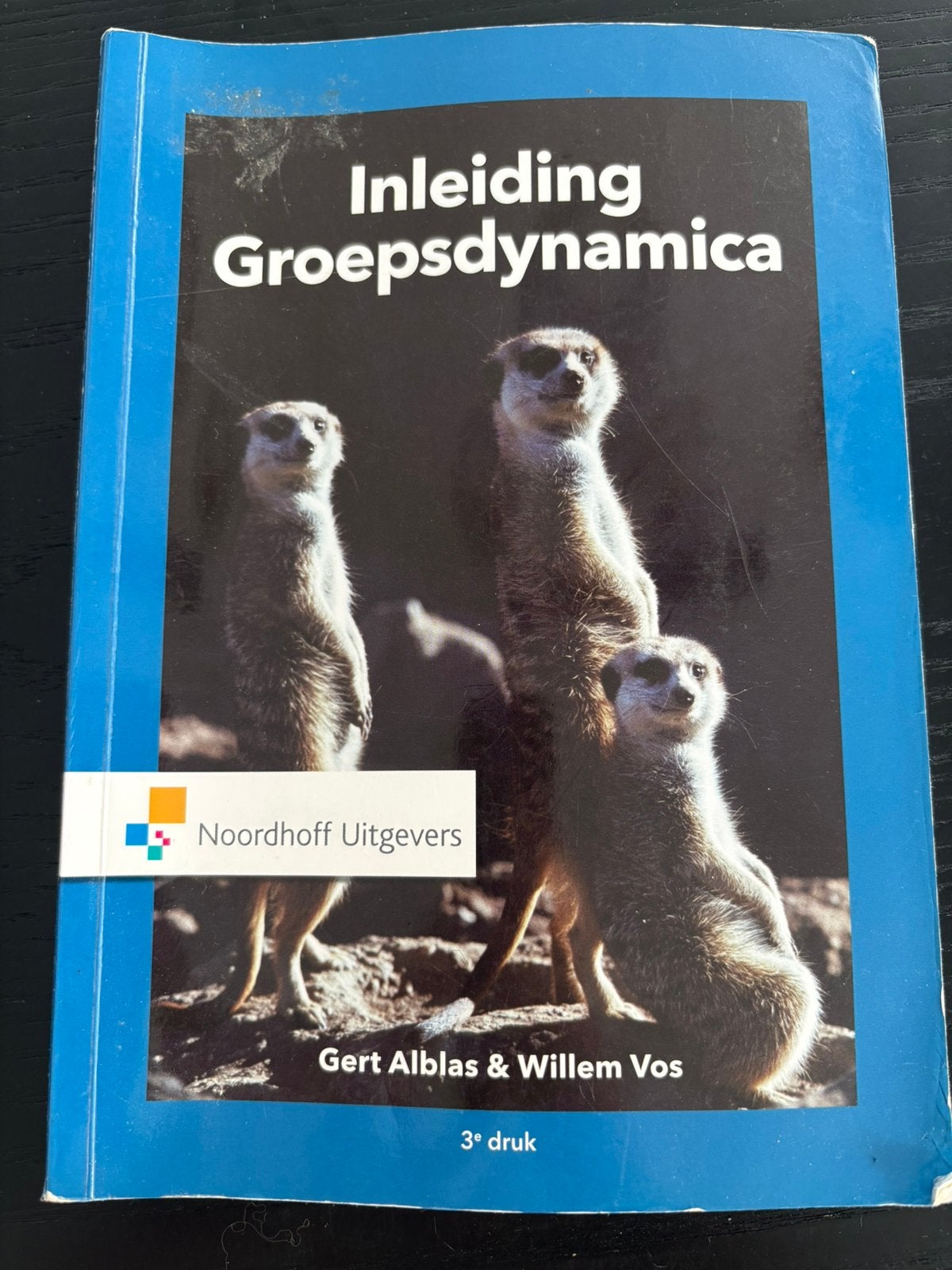 Inleiding Groepsdynamica – Gert Alblas & Willem Vos, Boeken, Ophalen, Zo goed als nieuw, HBO