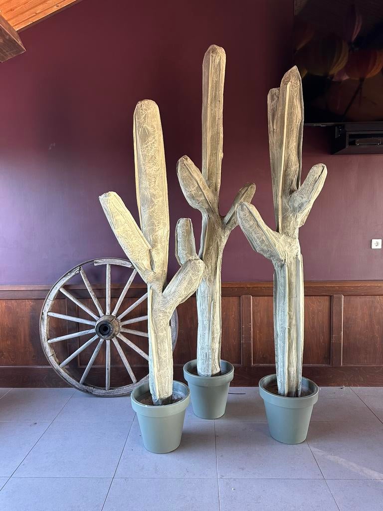 Set van 3 grote cactussen XL, Ophalen, Zo goed als nieuw