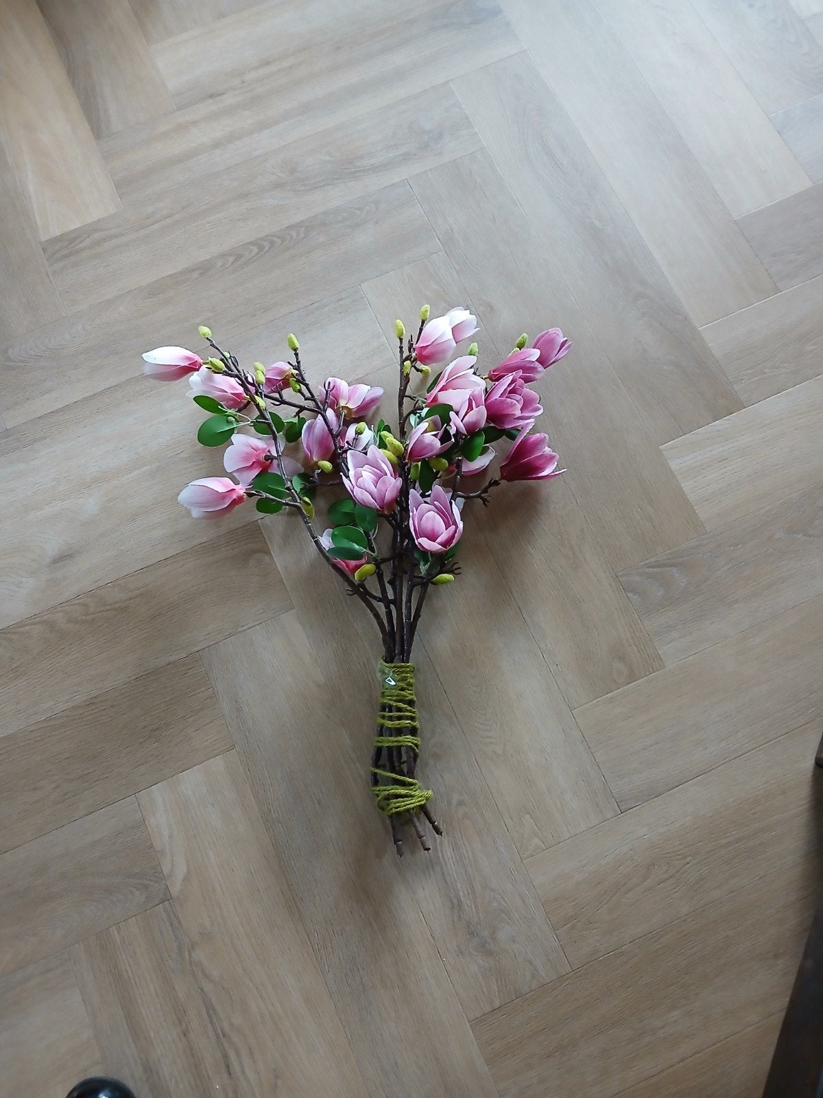 magnolia takken, Ophalen