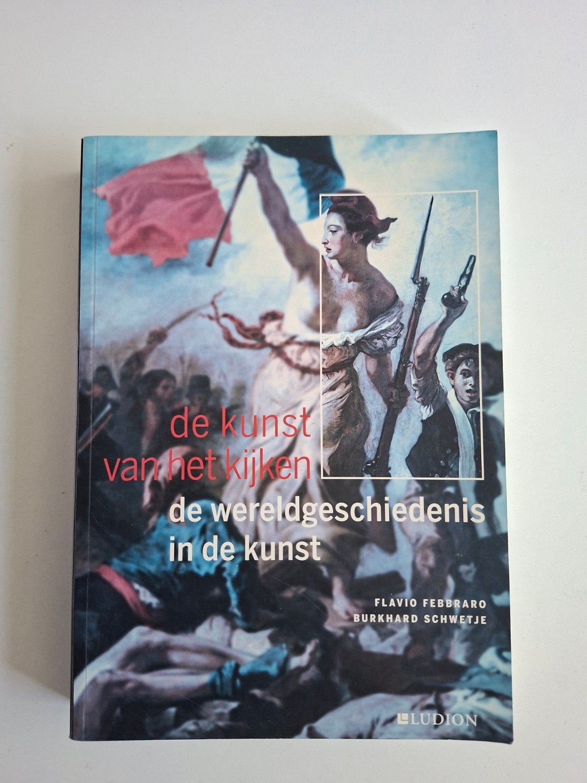De kunst van het kijken: Wereldgeschiedenis in de kunst, Ophalen of Verzenden, Zo goed als nieuw, Overige onderwerpen, Flavio Febbraro, Burkhard Schwetje