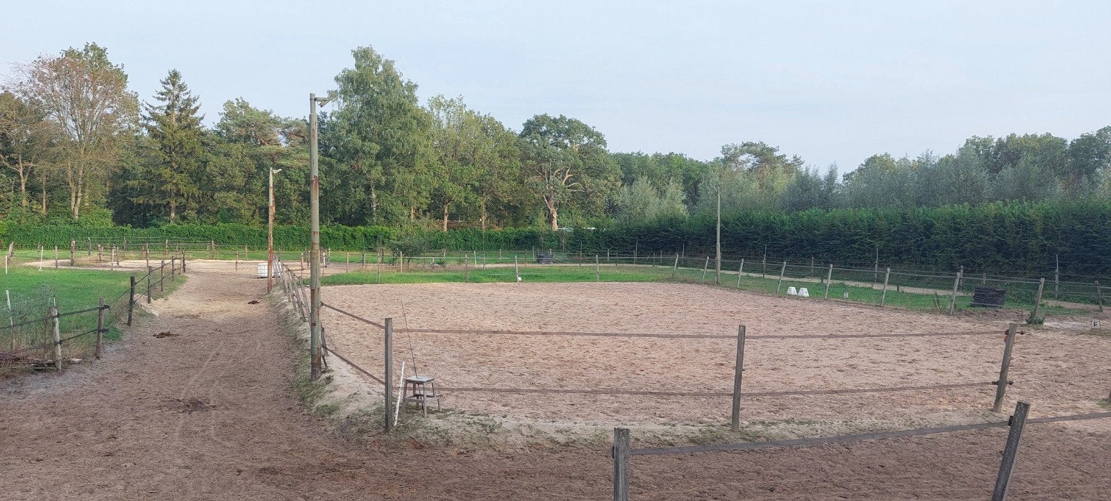 Laat je paard Drentenieren op een  paddock paradise, Dieren en Toebehoren, Stalling en Weidegang, Stalling