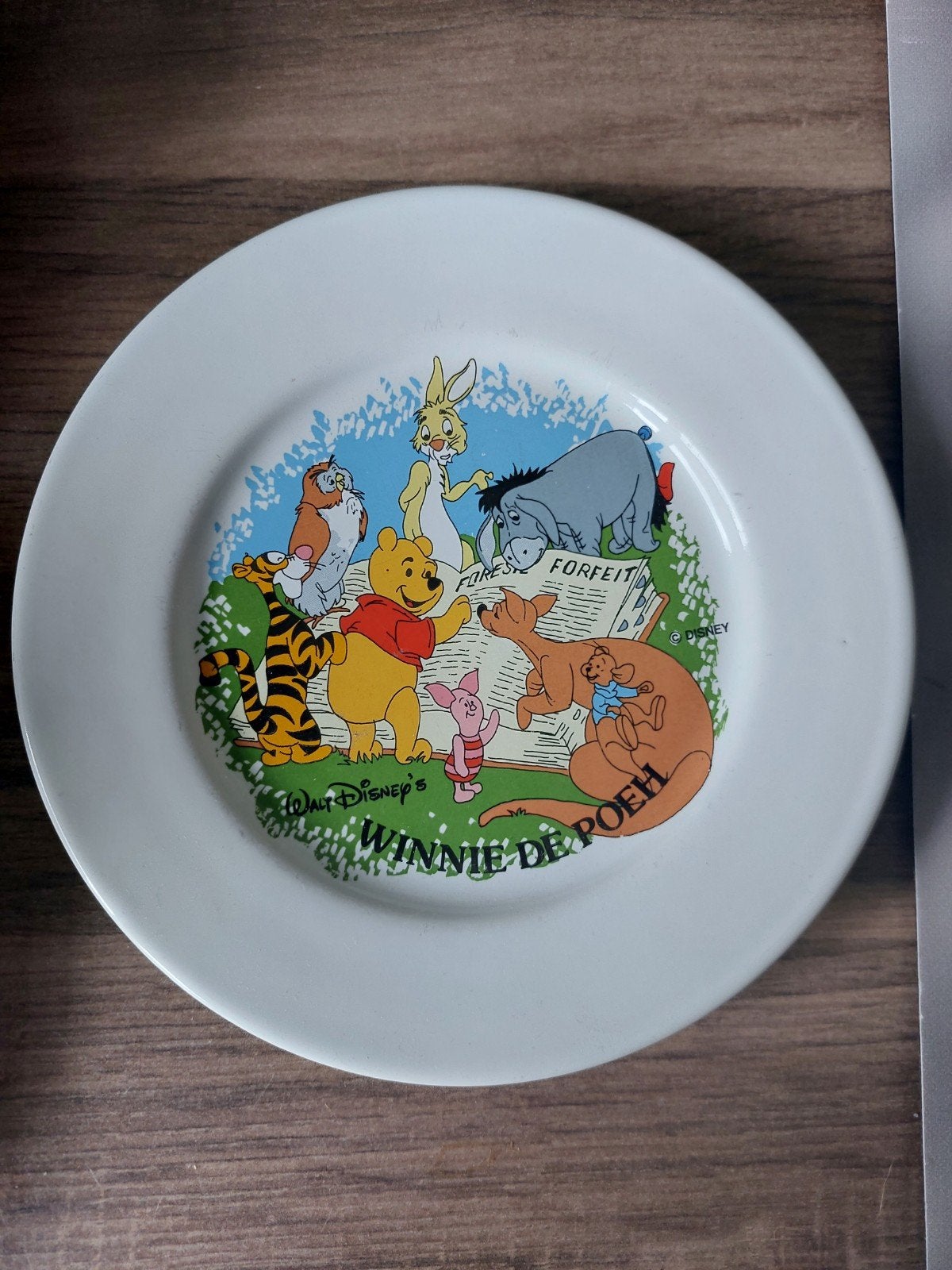 Winnie the Pooh bord Walt Disney Ter Steege Holland, Antiek en Kunst, Ophalen of Verzenden