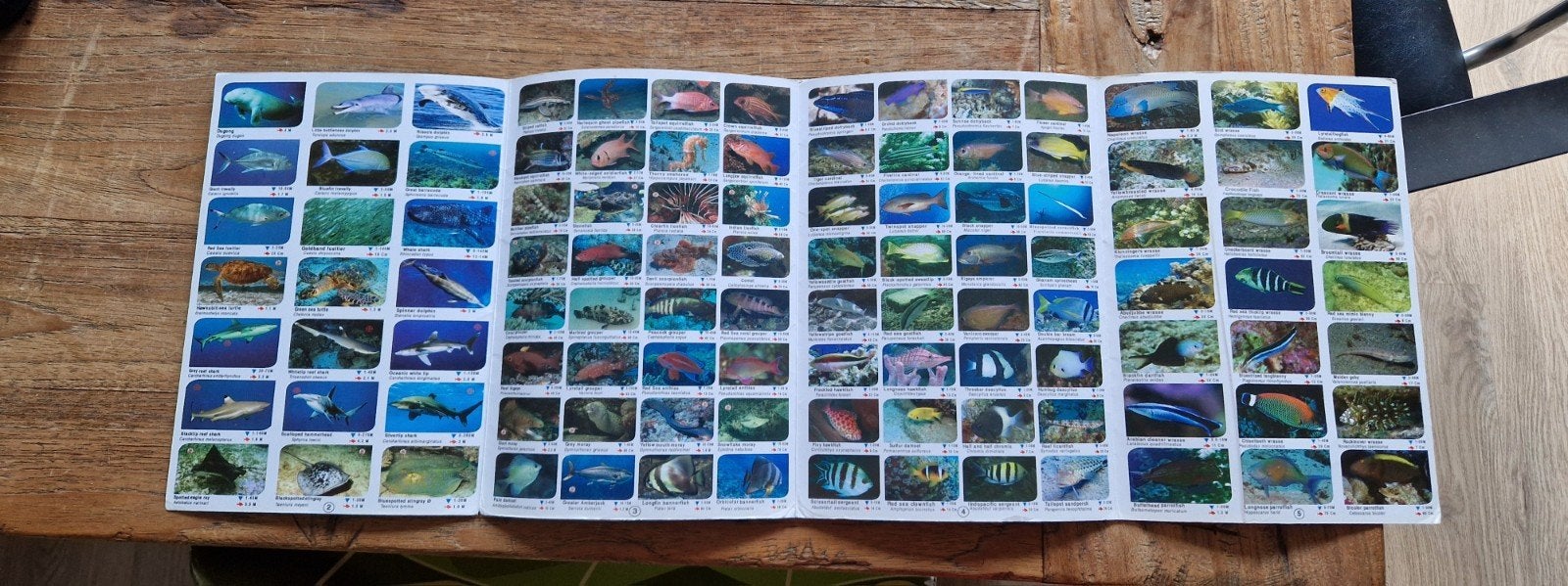 Complete Coral Reef Guide The Red Sea - koraalriffen, vissen, Boeken, Ophalen of Verzenden, Zo goed als nieuw, Natuur algemeen