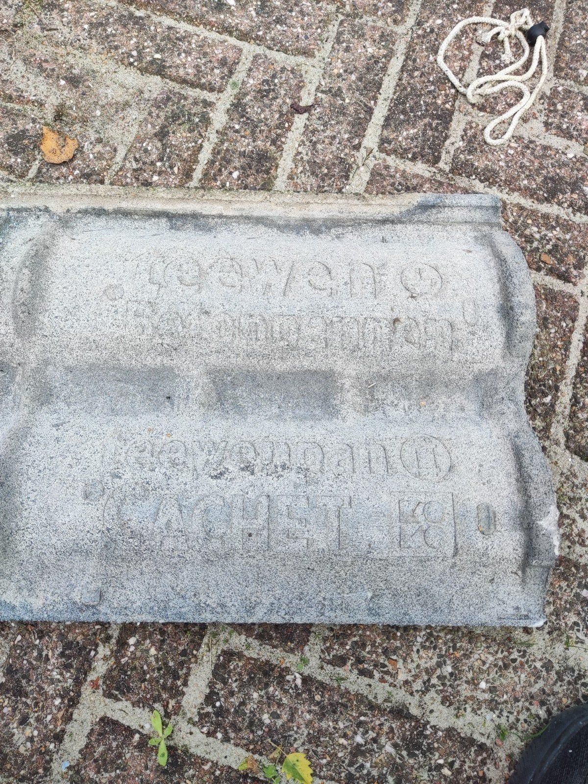 Dakpannen, Teeuwen Cachet, grijze betonpannen, Ophalen, Steen of Klei, 15 m² of meer, Dakpannen