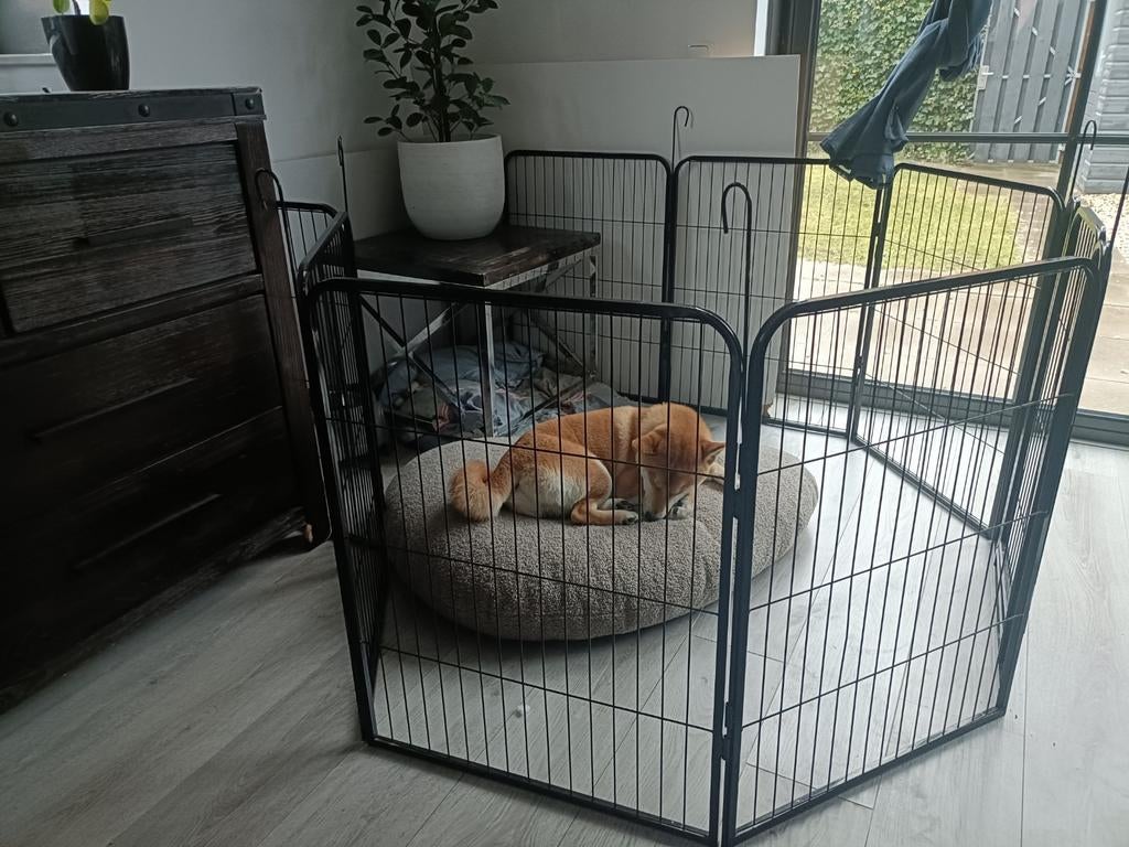 Hondenren (Dog crate) 80 CM height, Dieren en Toebehoren, Honden-accessoires, Ophalen of Verzenden