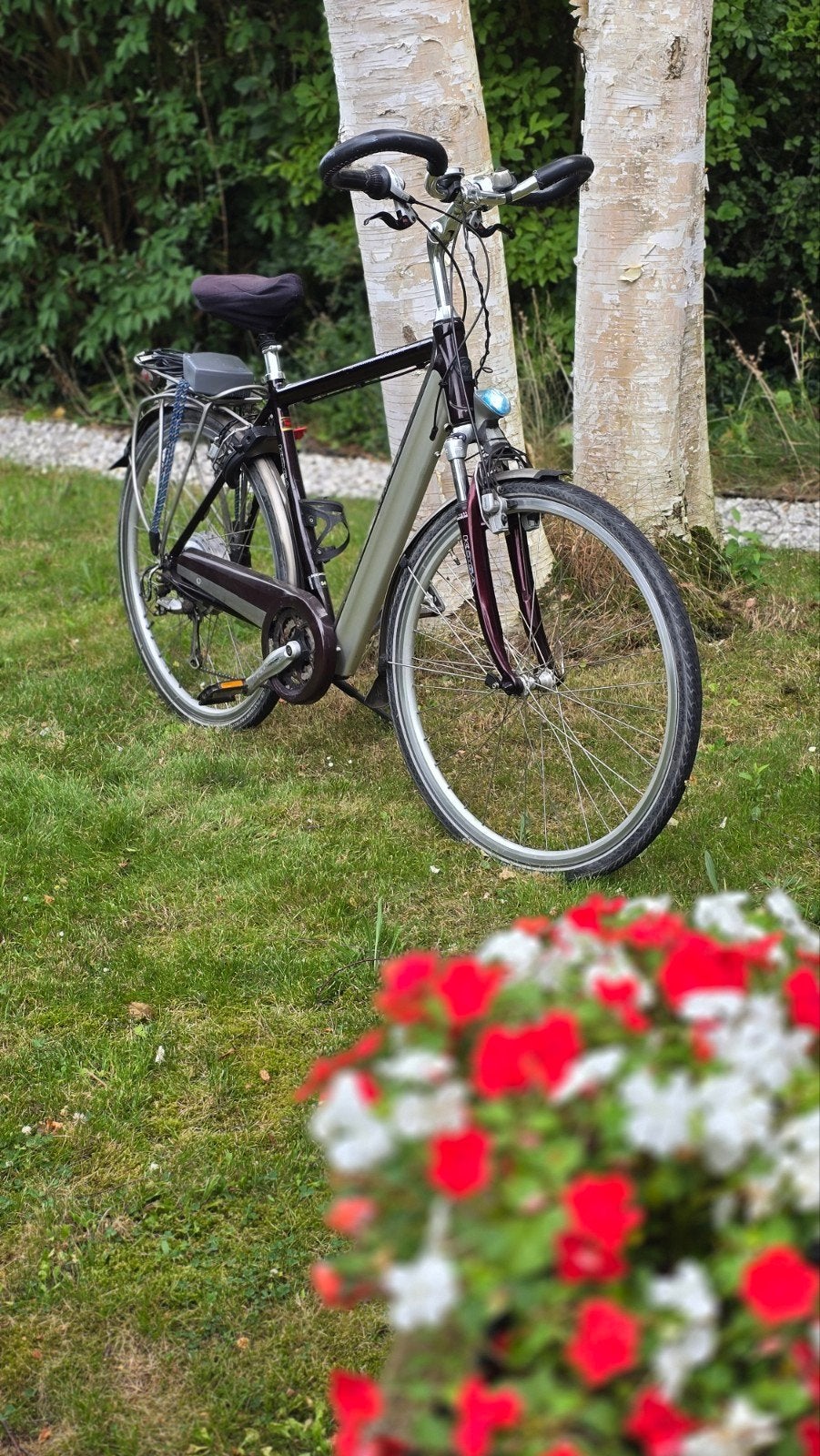 Koga Miyata Tesla E-bike - Frame 54 cm, Overige merken, Velgrem, Versnellingen, Ophalen of Verzenden