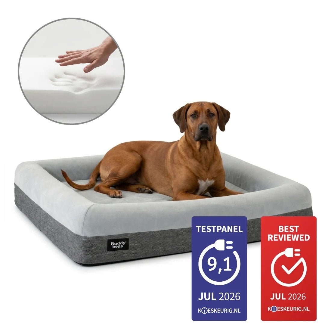 Hondenmand buddy bed Orthopedische honden mand, Ophalen of Verzenden, Zo goed als nieuw, Overige