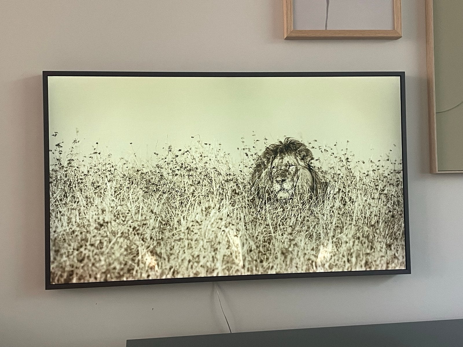 Samsung 'The Frame' led-tv (43 inch), 4K Ultra HD, smart-tv, Ophalen, 50 Hz, Samsung, 100 cm of meer
