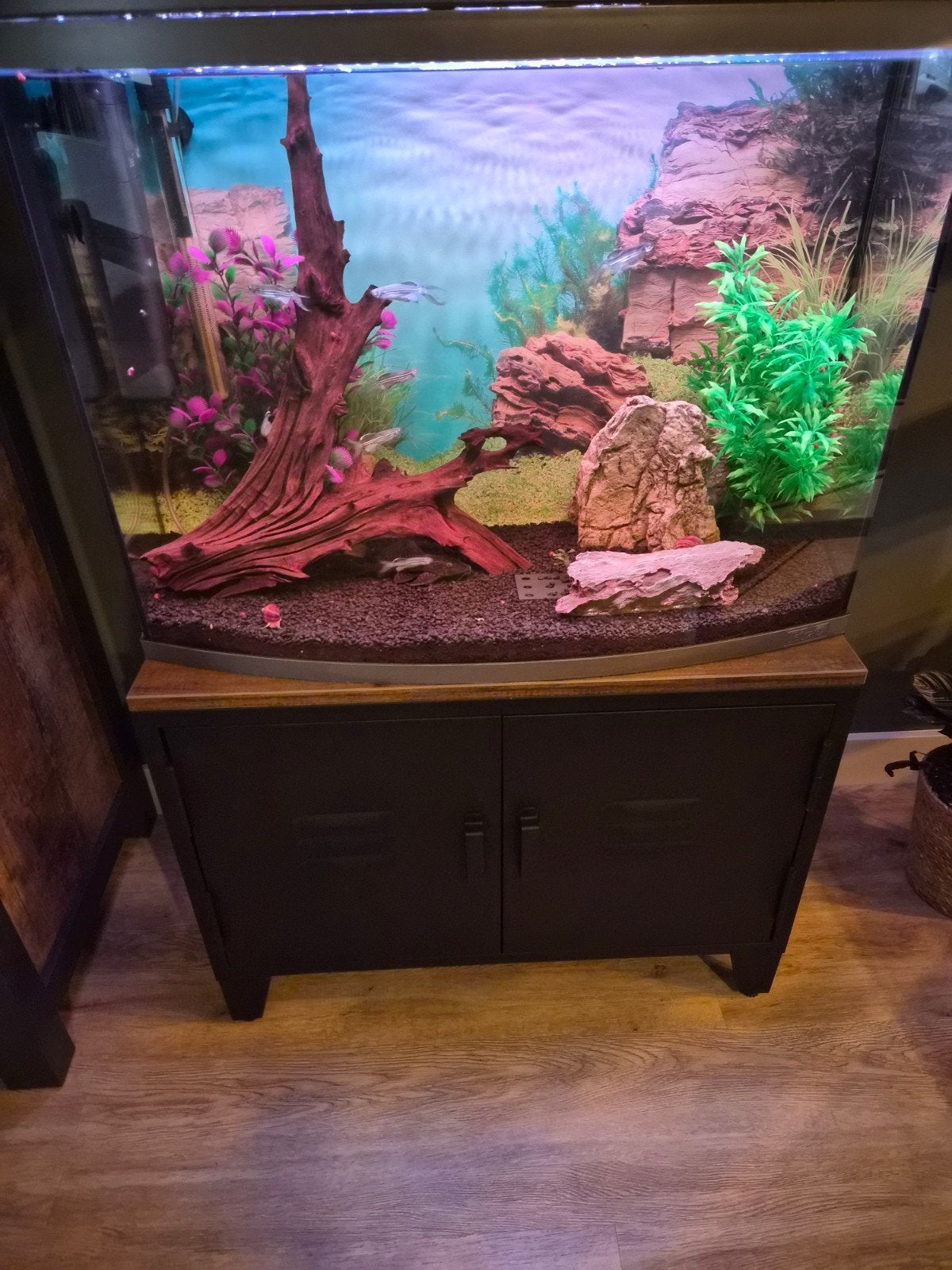Compleet aquarium, Dieren en Toebehoren, Ophalen, Zo goed als nieuw, Gevuld zoetwateraquarium
