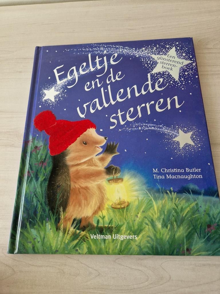 Voorleesboek Egeltje en de vallende sterren nieuw, Boeken, Ophalen of Verzenden, Nieuw, Fictie algemeen