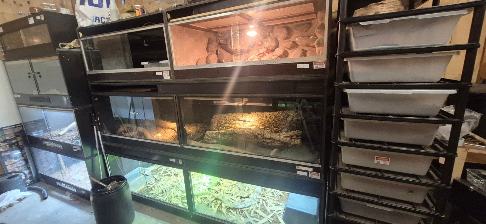betonplex terrariums 250x80x60, Dieren en Toebehoren, Reptielen en Amfibieën | Toebehoren, Ophalen