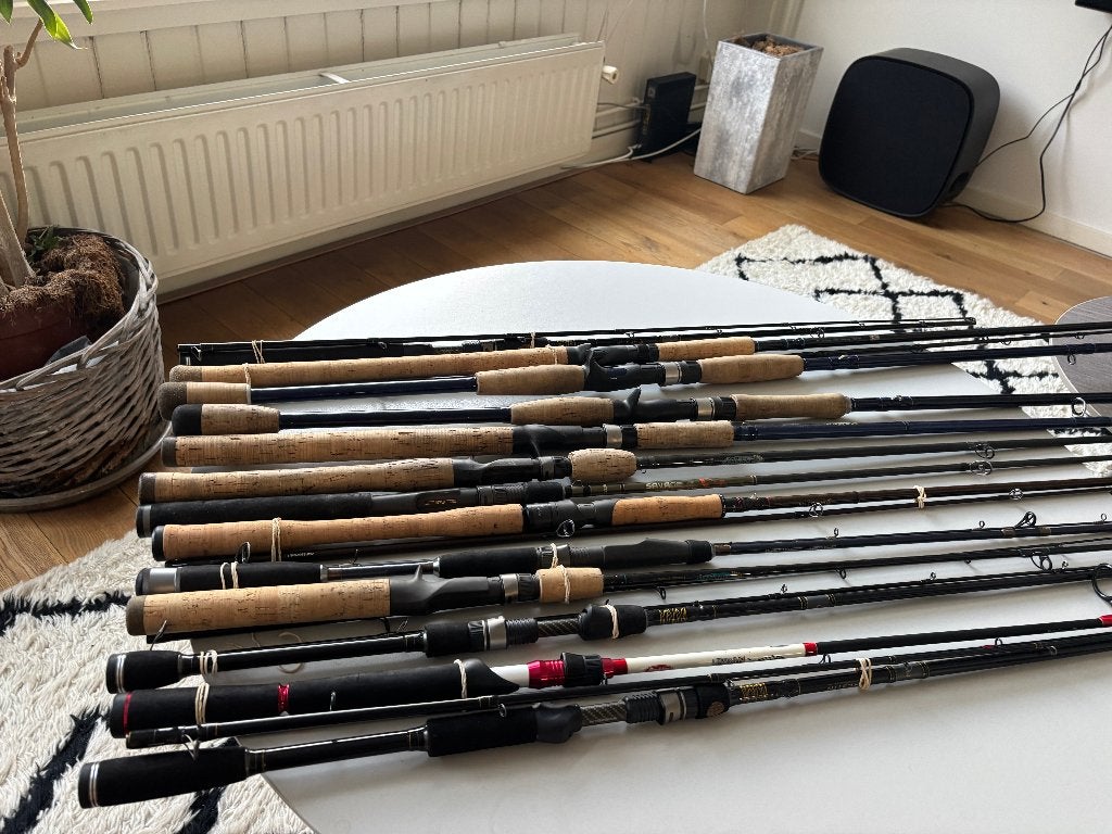 Diverse roofvishengels, spinning en baitcaster, Watersport en Boten, Ophalen, Werphengel