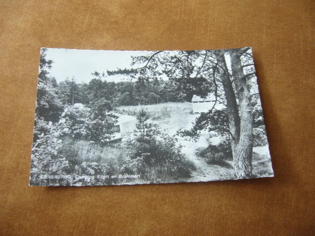 DIEVERBRUG  =  CAMPING ELLERT EN BRAMMERT, Ophalen of Verzenden, 1960 tot 1980, Gelopen