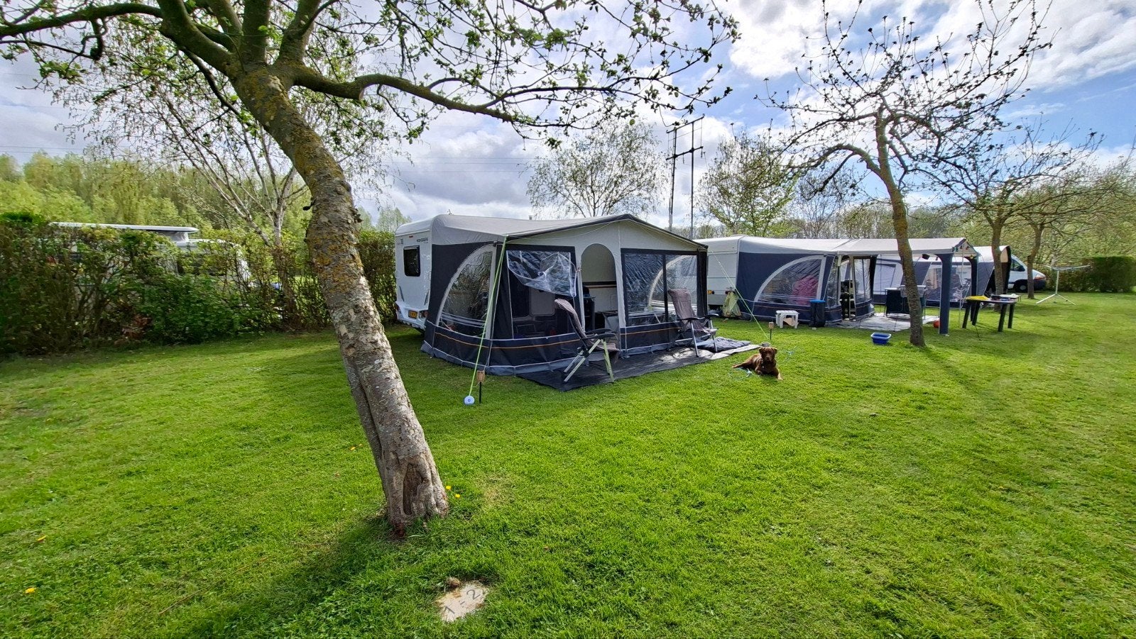 Dorema voortent 250cm diep met aluminium stokken, Ophalen, Gebruikt