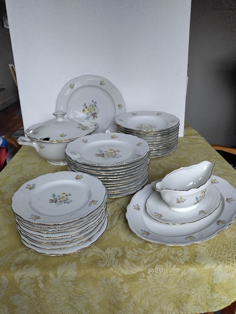 Antiek EPIAG servies 12-persoons Tsjecho-Slowakije 1920-1945, Ophalen