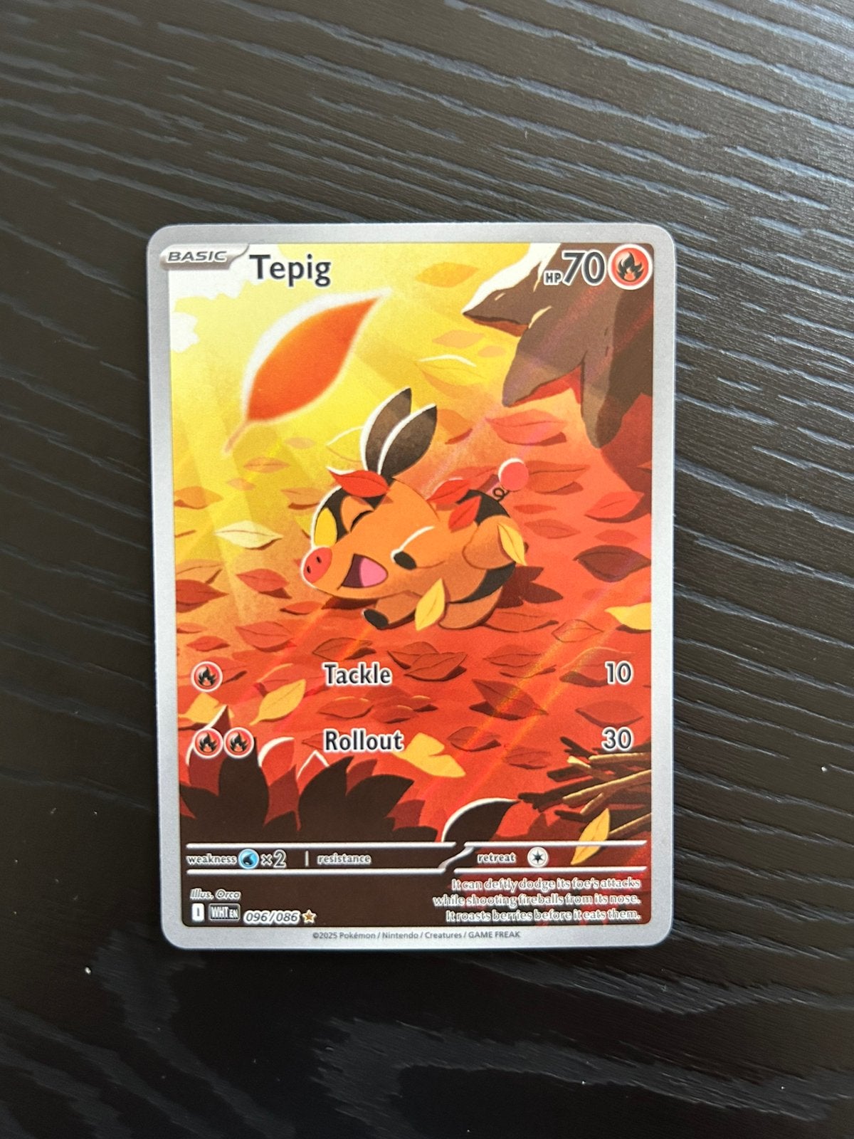 Tepig 096/086, Ophalen of Verzenden, Nieuw, Losse kaart