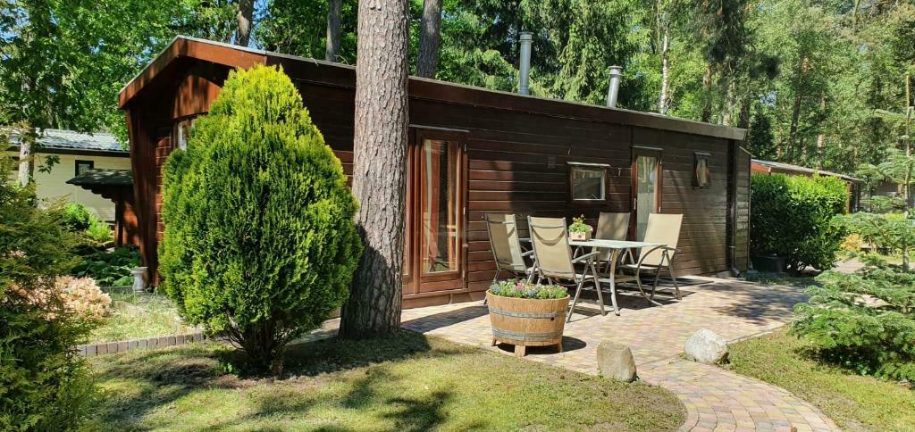 vakantie Op De Veluwe, Vakantie, Tv, 2 slaapkamers, Recreatiepark, Appartement