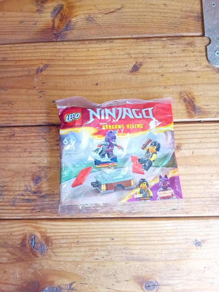 LEGO Polybags - Nieuw!, Ophalen of Verzenden, Nieuw, Complete set, Lego