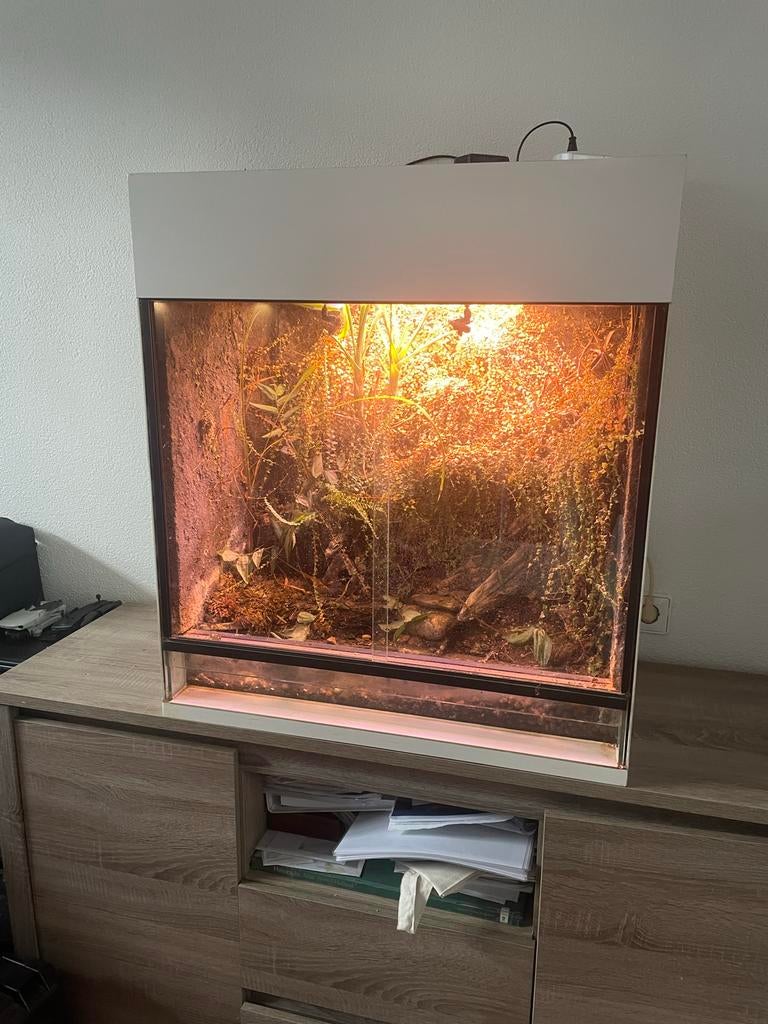 Paludarium Rana(b70, d 45, h 80), Dieren en Toebehoren, Reptielen en Amfibieën | Toebehoren, Ophalen, Gebruikt, Terrarium of Paludarium