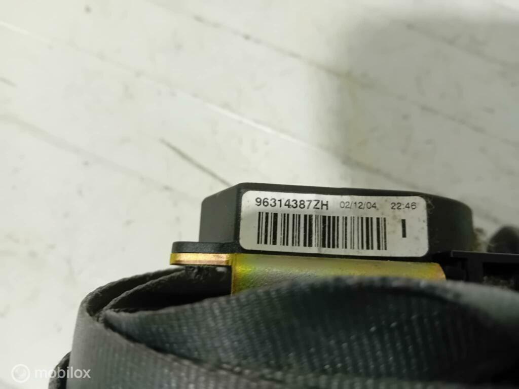 Gordel Citroen Xsara Picasso 96314387ZH, Gebruikt, Ophalen of Verzenden