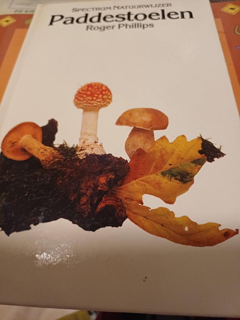 Paddestoelen, Ophalen of Verzenden