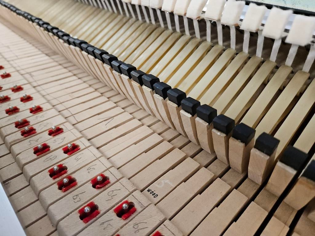 Fender Rhodes hamers 1969-1975, 73 stuks, ook los te koop, Ophalen of Verzenden, Gebruikt, Overige kleuren, Piano