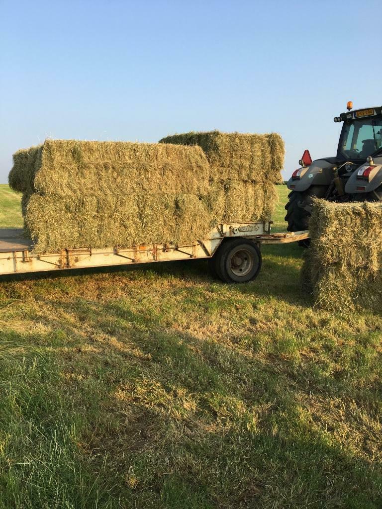 Hooi stroo en voordroog te koop, Zakelijke goederen, Ophalen
