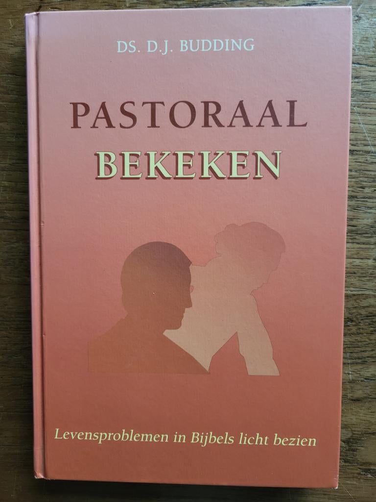 D.J. Budding - Pastoraal bekeken, Ophalen of Verzenden, Zo goed als nieuw, D.J. Budding