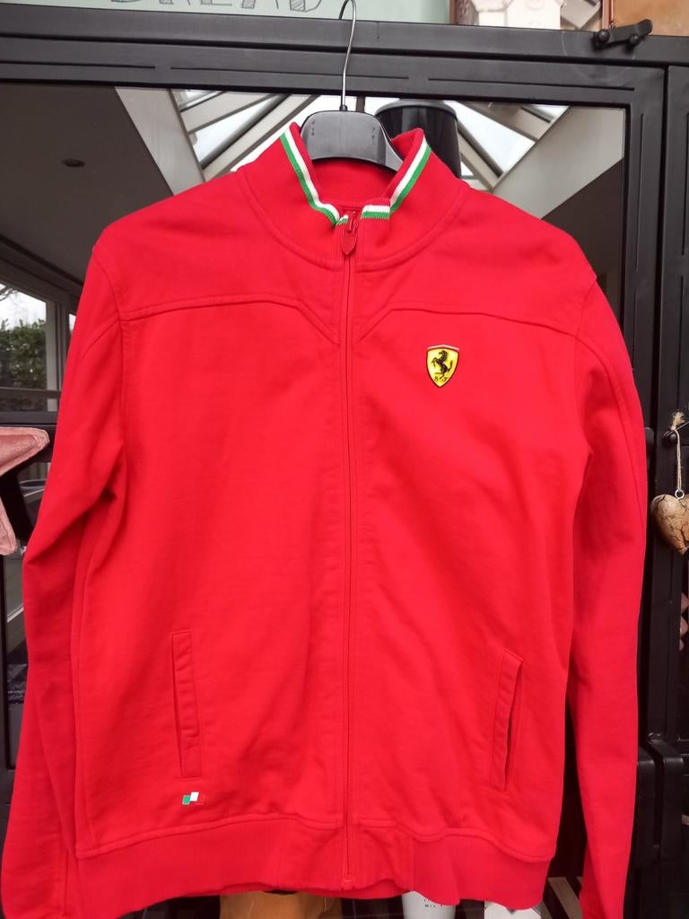 Ferrari sweater met rits, Ophalen of Verzenden, Zo goed als nieuw, Jongen, Trui of Vest