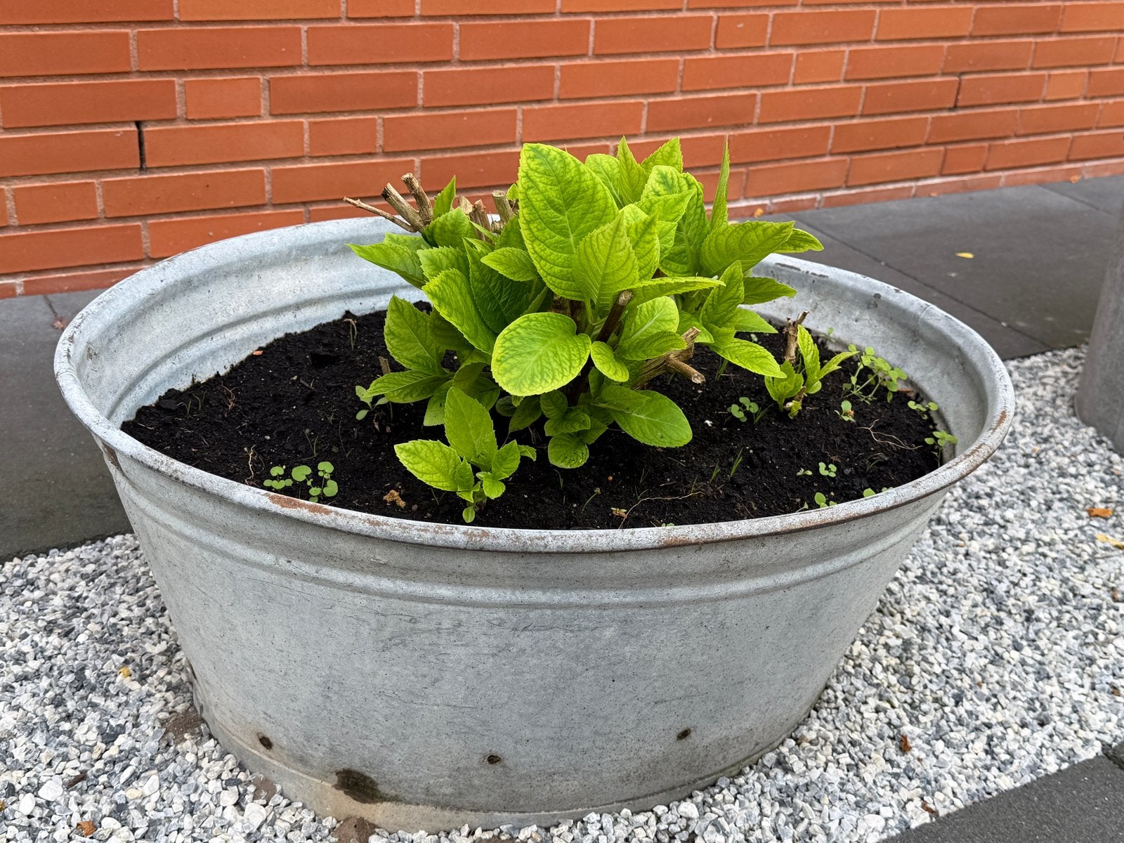 2x Zinken plantenbakken / zinken kuipen, Ophalen, Gebruikt, Binnen, Metaal
