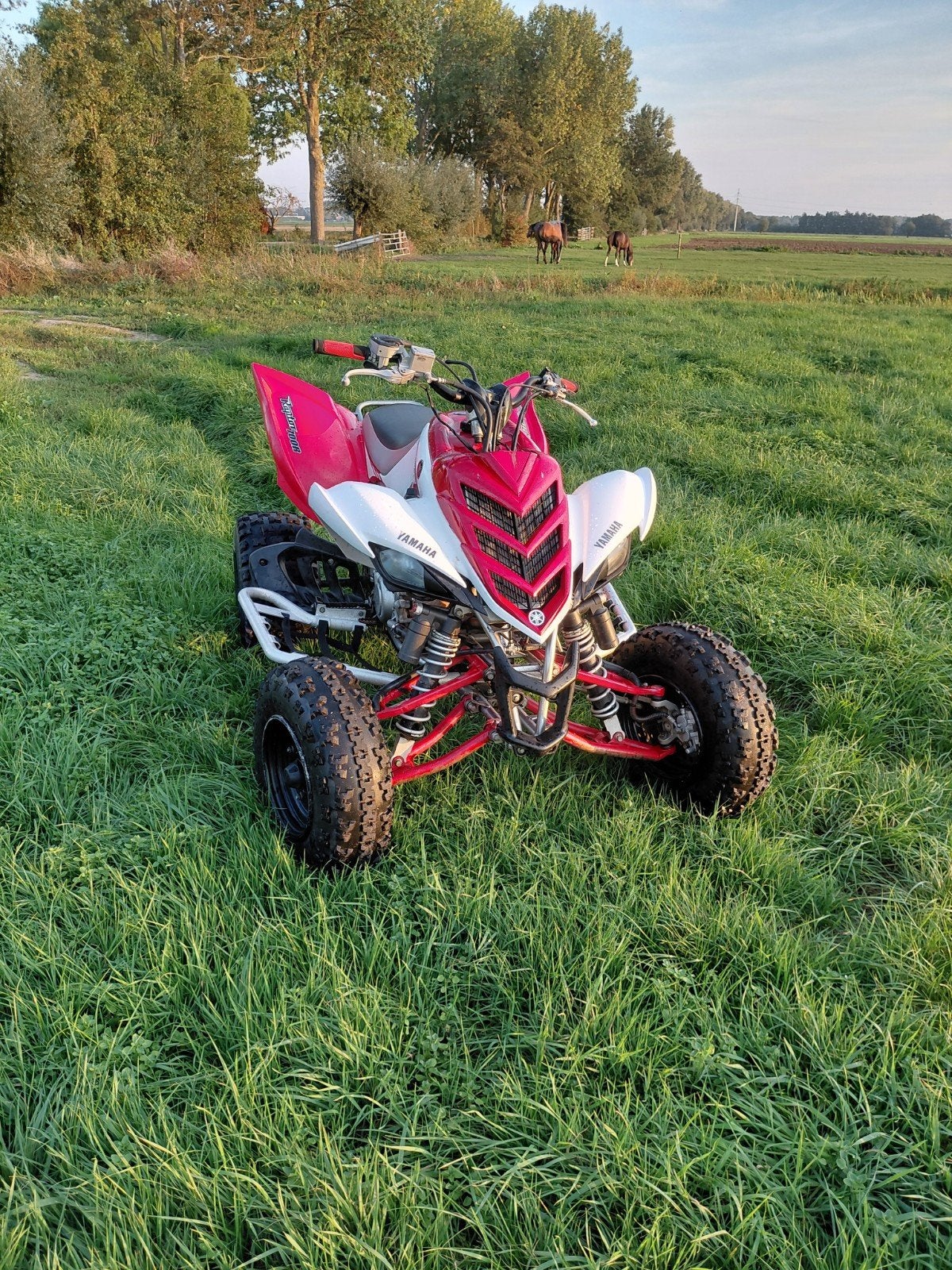Yamaha raptor 700r special edition op landbouwkenteken, Fietsen en Brommers, Ophalen, 686 cc, Overige typen, Yamaha