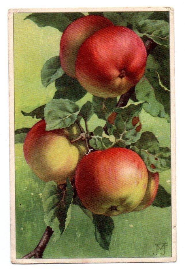 Voor Het Kind VHK Rijpende appels J. Voerman, Ophalen, 1940 tot 1960, Gelopen