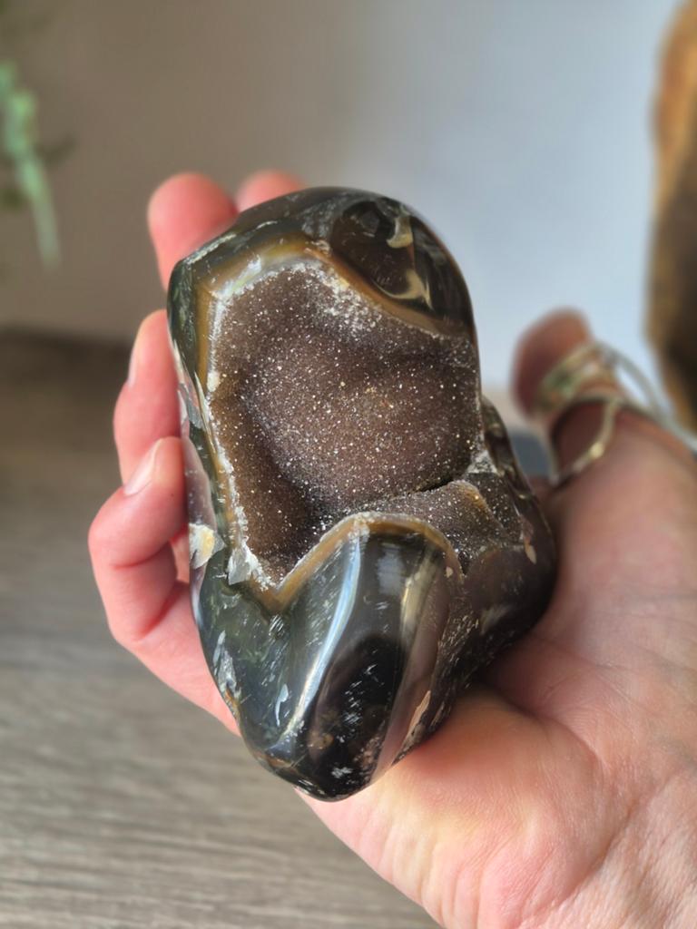 Agaat, Schildpad, 0 tot 2 jaar