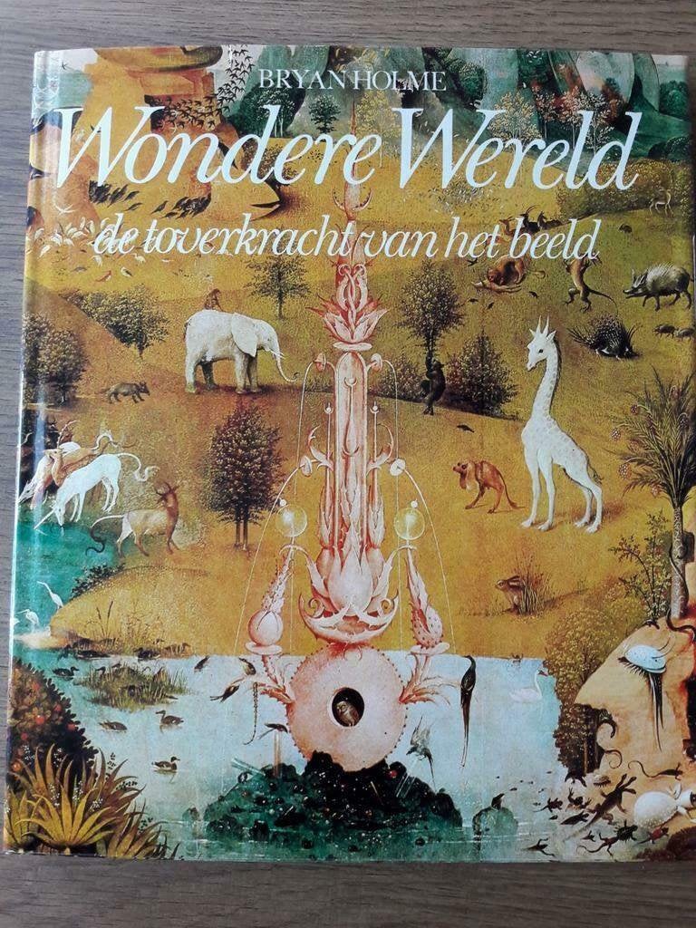 Wondere Wereld - Bryan Holme, Ophalen of Verzenden, Zo goed als nieuw, Schilder- en Tekenkunst, Zie beschrijving