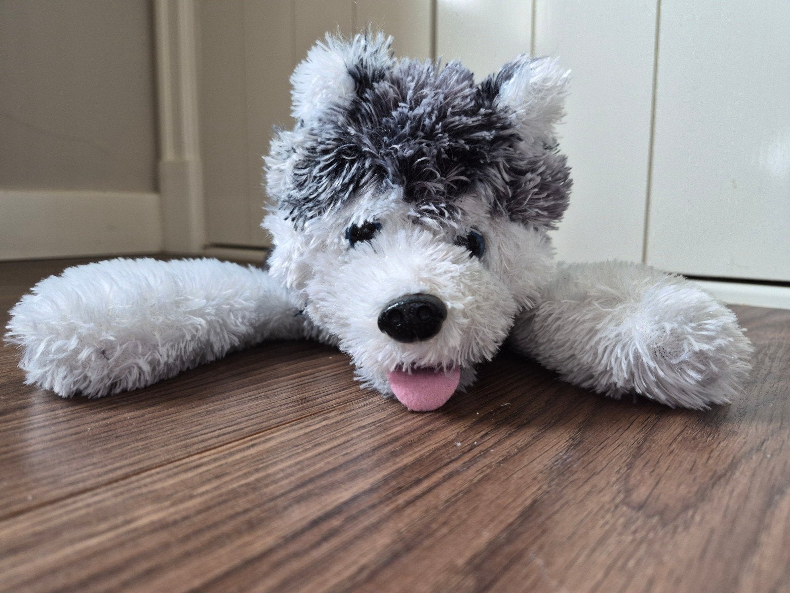 Schattige Husky Knuffel - Zo goed als nieuw, Overige merken, Overige karakters, Zo goed als nieuw, Middelgroot (20 tot 80 cm)