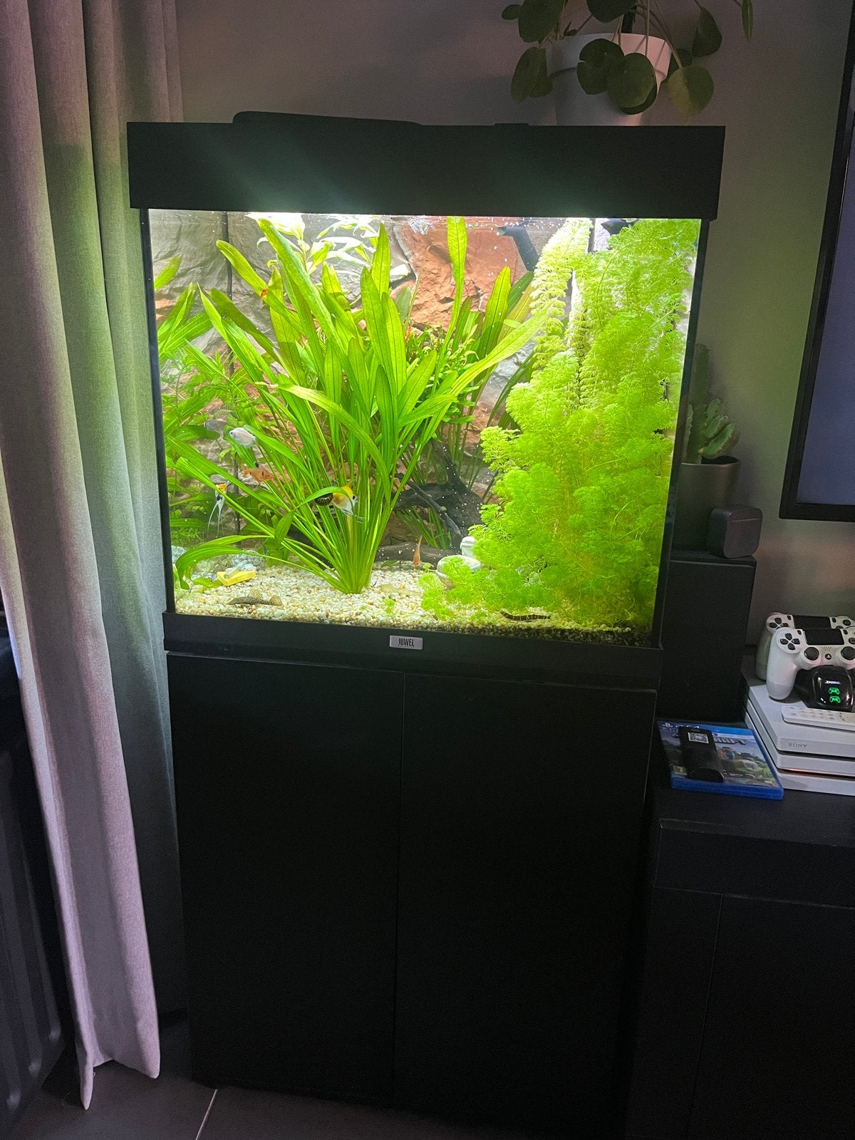 Juwel Lido 120, Dieren en Toebehoren, Ophalen, Zo goed als nieuw, Leeg aquarium
