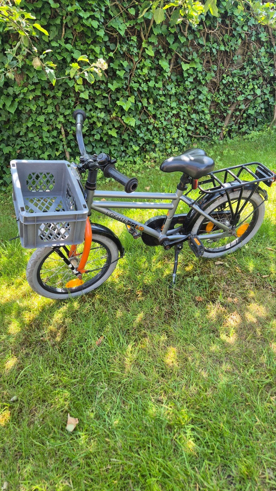 Loekie Pick Up 16 inch kinderfiets met mandje en bagagedrage, Fietsen en Brommers, Fietsen | Kinderfietsjes, Ophalen, Gebruikt