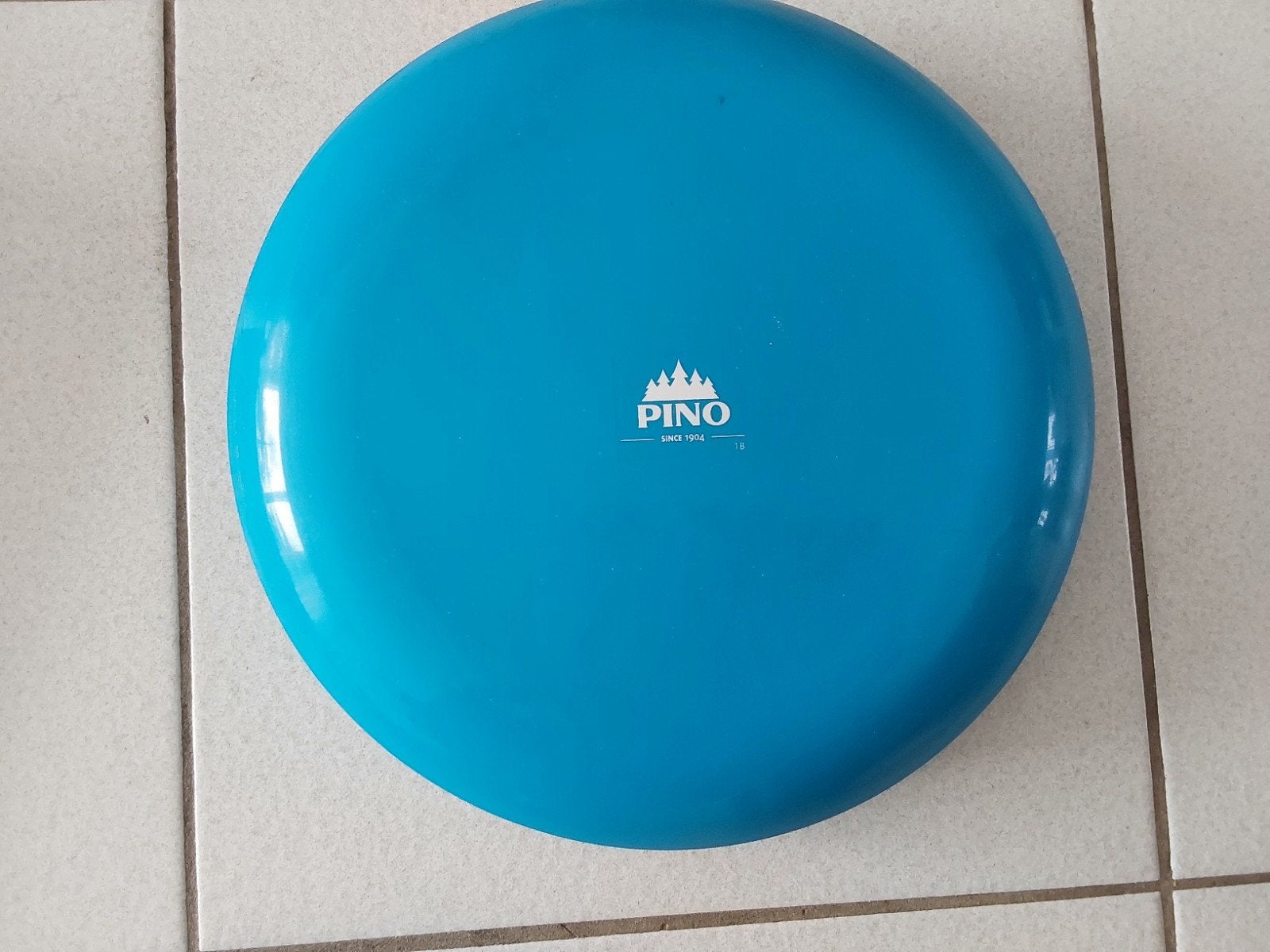 Pinofit Balancekussen - Balansbord voor training en therapie, Ophalen, Zo goed als nieuw, Buik, Balansbord