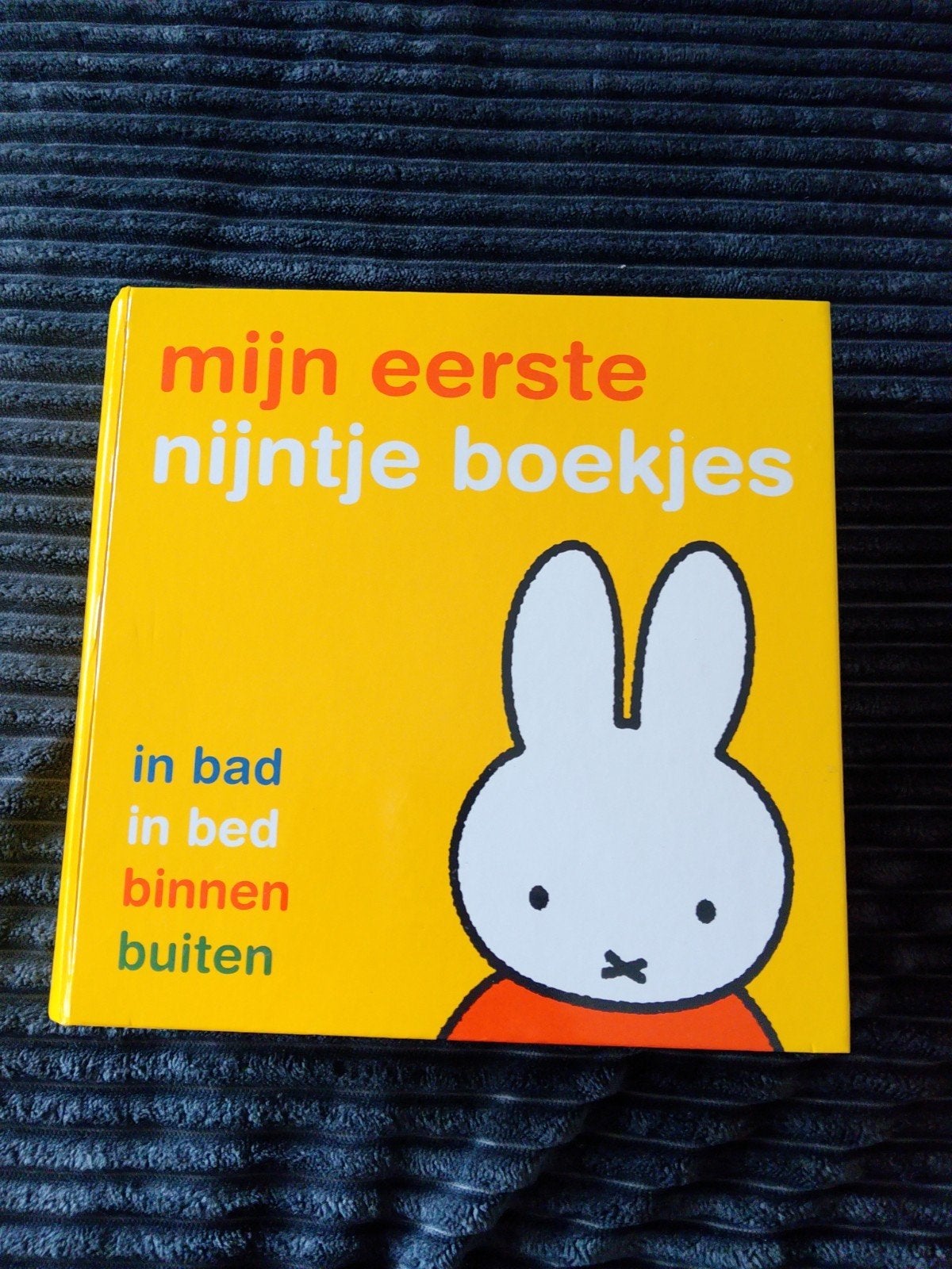 Mijn eerste nijntje boekjes - Dick Bruna (4-delige set), Nieuw, Ophalen of Verzenden, Dick Bruna, 1 tot 2 jaar
